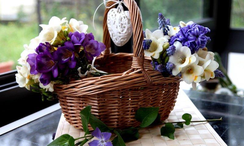 cvety-serdce-korzina-giacinty-muskari-frezia-barvinok.jpg